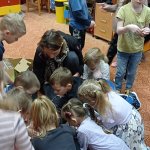 phoca_thumb_m_stromeek 19 Fotogalerie